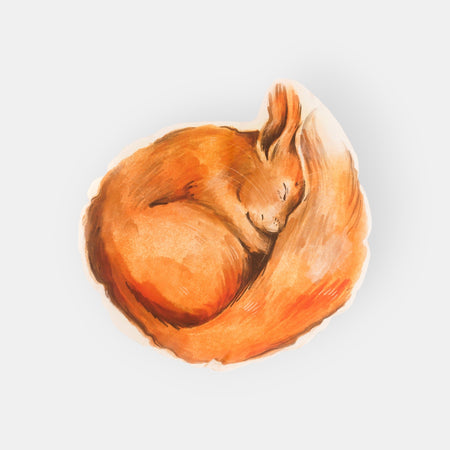 Coussin Enfant Fait Main Écureuil, Collection Animaux Forêt Velours