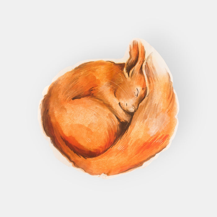 Coussin Enfant Fait Main Écureuil, Collection Animaux Forêt Velours