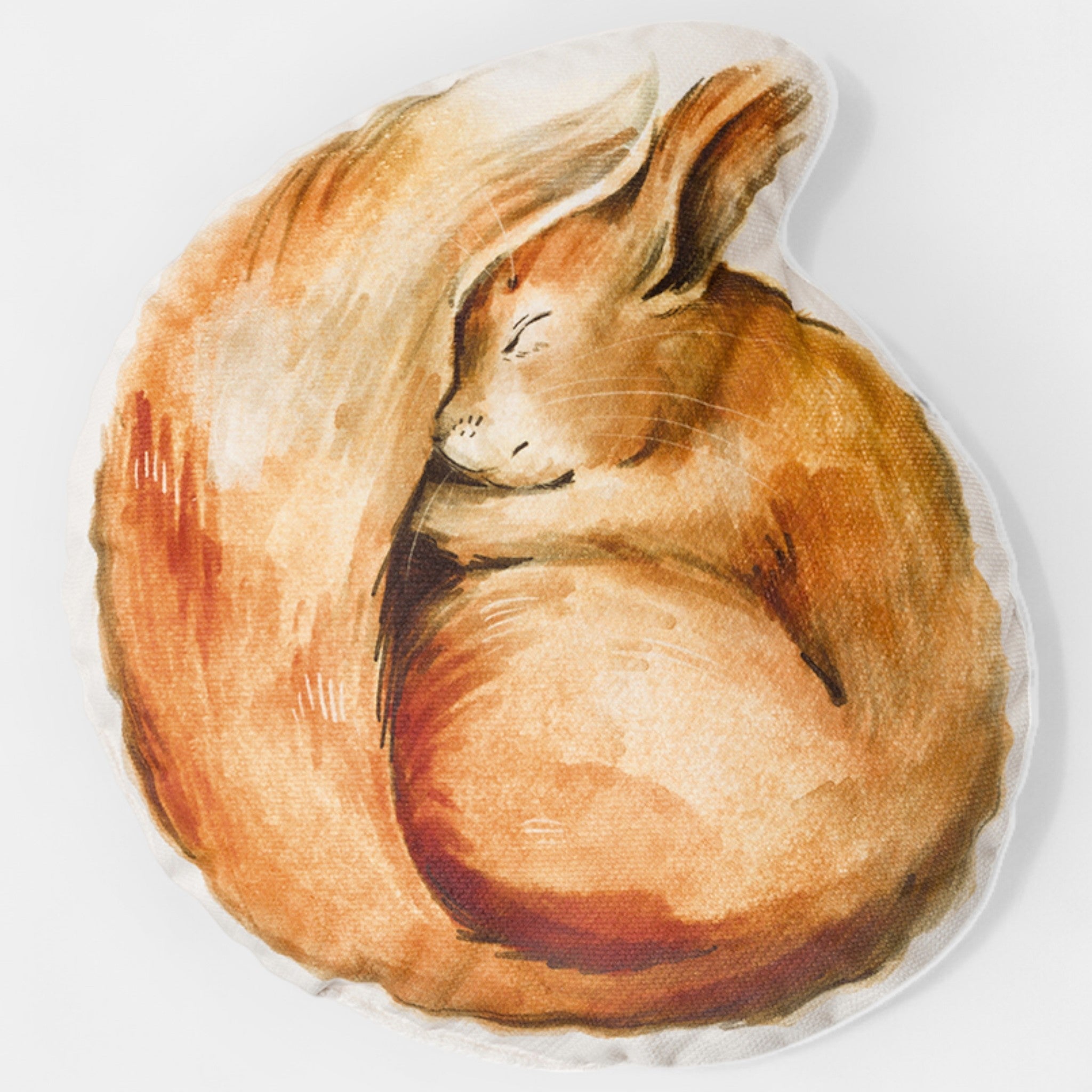 Coussin enfant écureuil en velours, vue d'ensemble du motif illustré